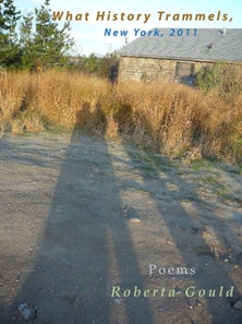 What History Trammels, New York 2011