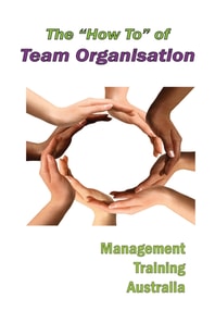 &quote;How to&quote; of Team Organisation