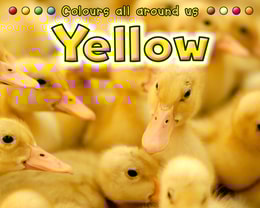 Yellow
