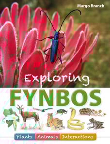 Exploring Fynbos: Plants, Animals, Interactions.