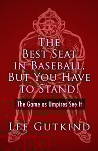 Best Seat in Baseball, But You Have to Stand!