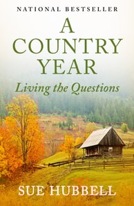 Country Year