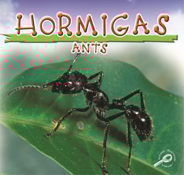 Hormigas