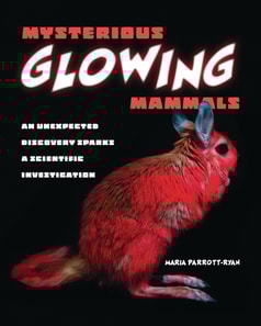 Mysterious Glowing Mammals