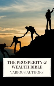 Prosperity & Wealth Bible