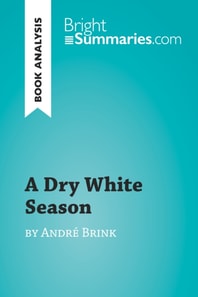 Dry White Season by Andre Brink (Book Analysis)