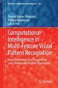 Computational Intelligence in Multi-Feature Visual Pattern Recognition