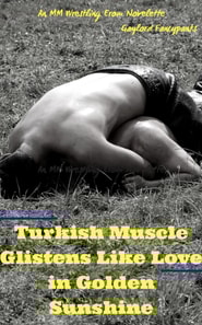 Turkish Muscle Glistens Like Love in Golden Sunshine: An MM Wrestling Erom Novelette