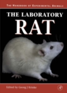 Laboratory Rat