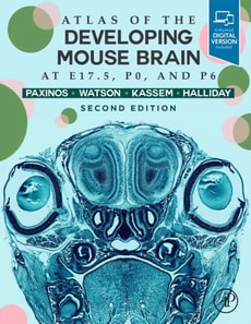 Atlas of the Developing Mouse Brain