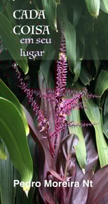 Cada Coisa - em seu lugar