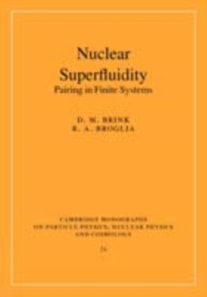 Nuclear Superfluidity