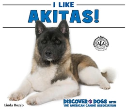 I Like Akitas!
