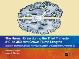 Human Brain during the Third Trimester 310- to 350-mm Crown-Rump Lengths