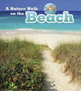 Nature Walk on the Beach