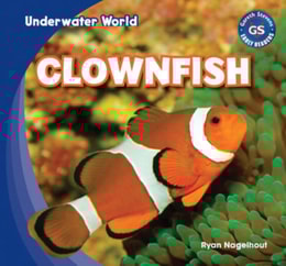 Clownfish