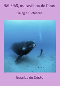BALEIAS - MARAVILHAS DE DEUS
