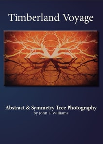 Timberland Voyage Abstract & Symmetry Tree Art Photography
