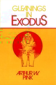 Gleanings in Exodus