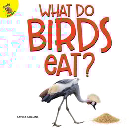 What Do Birds Eat?