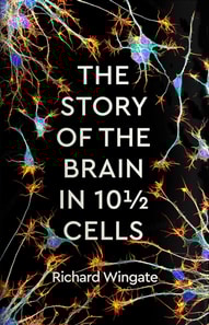 Story of the Brain in 101/2 Cells