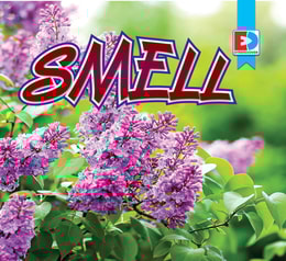 Smell