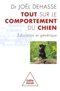 Tout sur le comportement du chien