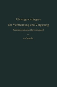 Gleichgewichtsgase der Verbrennung und Vergasung