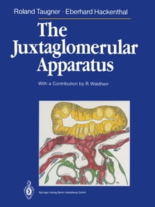 Juxtaglomerular Apparatus