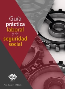 Guía práctica laboral y de seguridad social 2021