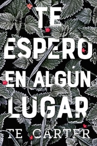 Te espero en algún lugar