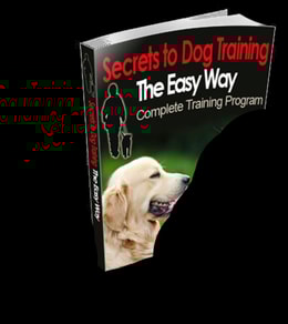 Secrets to Dog Training