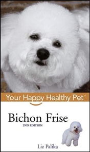 Bichon Frise