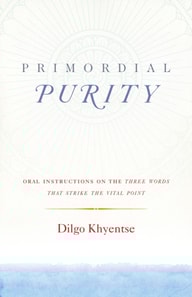 Primordial Purity
