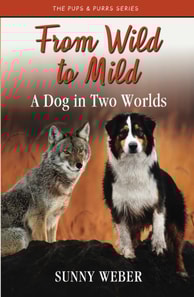 From Wild to Mild : A Dog in Two Worlds