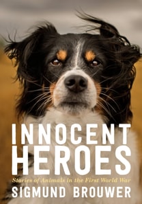 Innocent Heroes