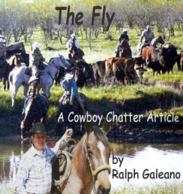 Cowboy Chatter article---The Fly