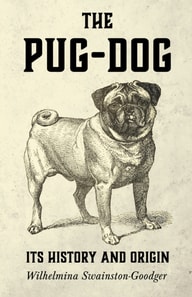 Pug-Dog - Its History and Origin
