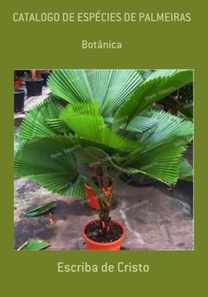 CATÁLOGO DE ESPÉCIE DE PALMEIRAS