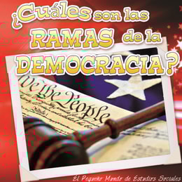  Cuales son las ramas de la democracia?