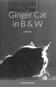 Ginger Cat in B & W: A Memoir