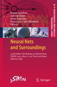 Neural Nets and Surroundings