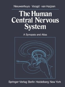 Human Central Nervous System