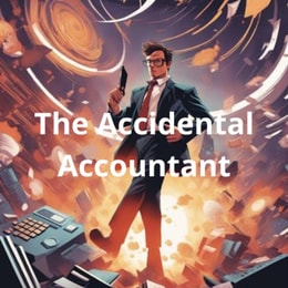 Accidental Accountant