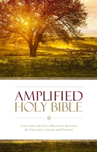 Amplified Holy Bible (2015 Text)
