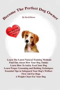 Become The Perfect Dog Owner