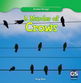 Murder of Crows