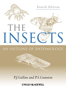 Insects