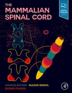 Mammalian Spinal Cord