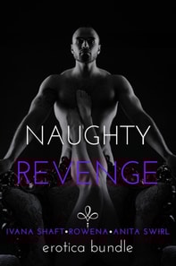 Naughty Revenge: Erotica Bundle